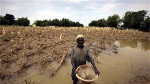 Climate change will be worse than Covid-19, FG warns
