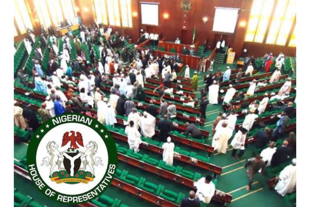 Reps Stranded In Kano Airport As Airline Reschedules Flight ‘four Times