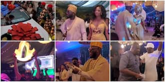 Don Jazzy, Jowi Zaza, Other Celebs Rain Money as They Storm Comedian Craze Clown’s Colourful Wedding