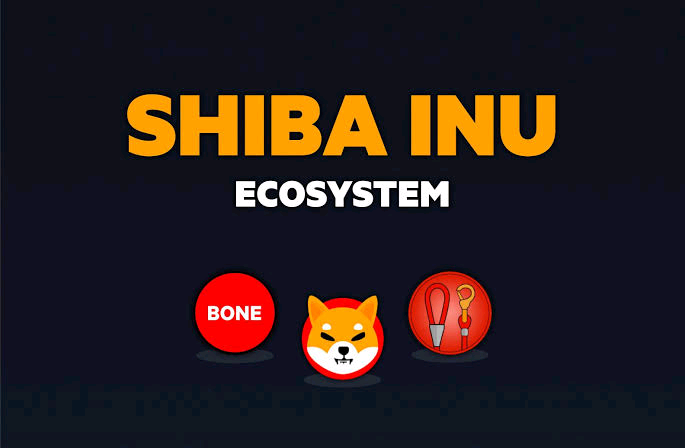 Crypto News: Why Investment Experts Flags Shiba Inu as Prices Surge