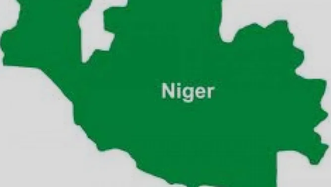 80 percent of staff of Ministry for Education working with forged certificates – Niger Govt