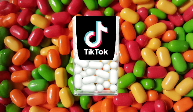 TikTok is reportedly planning to challenge the Trump Administration ban