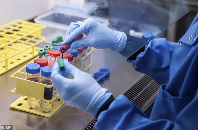 Oxford coronavirus vaccine is to get approval ahead of Christmas so it can be used for medics and the elderly BEFORE final trials are finished, says professor who is leading the project