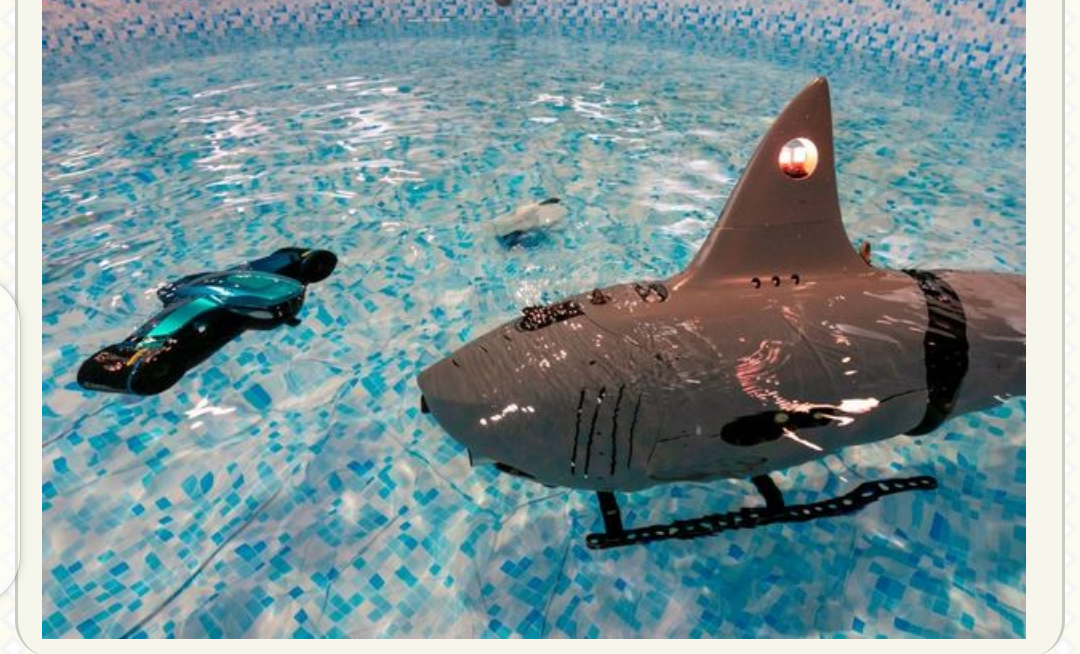 Chinese Military Shows Off It’s Deadly, Robot Attack-And-Destroy Sharks