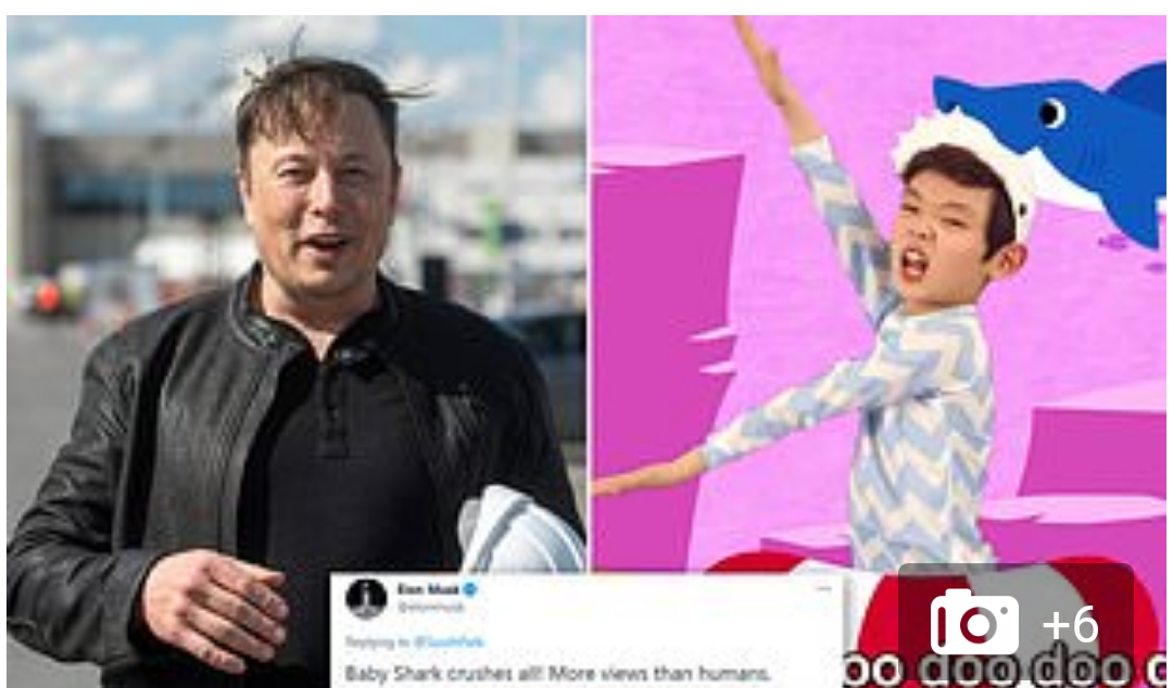 Elon Musk’s tweet ‘Baby Shark crushes all!’ sends shares of South Korean firm that is major shareholder of the song soaring
