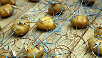 See How A Potato Battery Can Light Up a Room For Over a Month