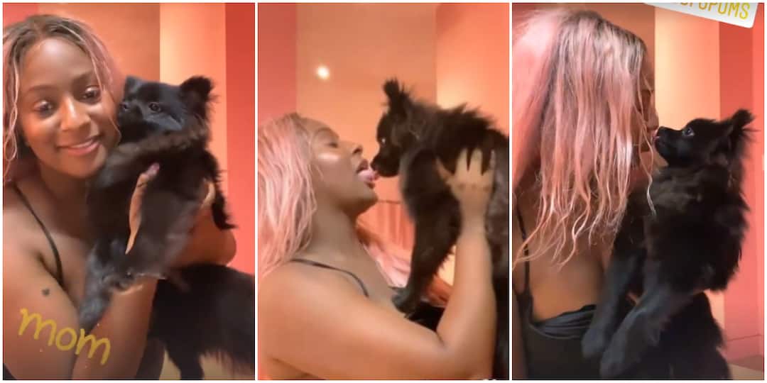 DJ Cuppy Gets Fans Speculating As She Shares Moment She Kissed Her Dog With Her Tongue for Being a Bad Mother
