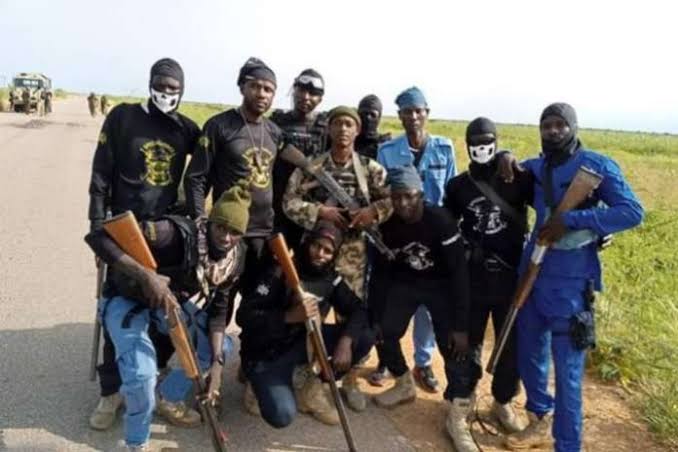 Hundreds of Borno youths join militia group to defend their communities(photos)