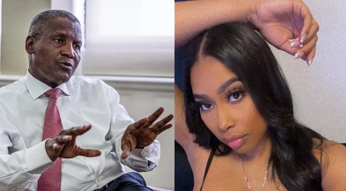 Dangote’s alleged side chic jubilates as U.S. Court dismisses suit against her, reveals details about how they met (Details/Screenshots)