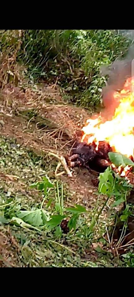 Two Men Burnt To Death In Imo Over Robbery Allegation (Graphic Photos)