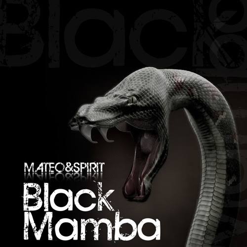 Black Mamba: The Deadliest Snake In The World – Facts And Pictures