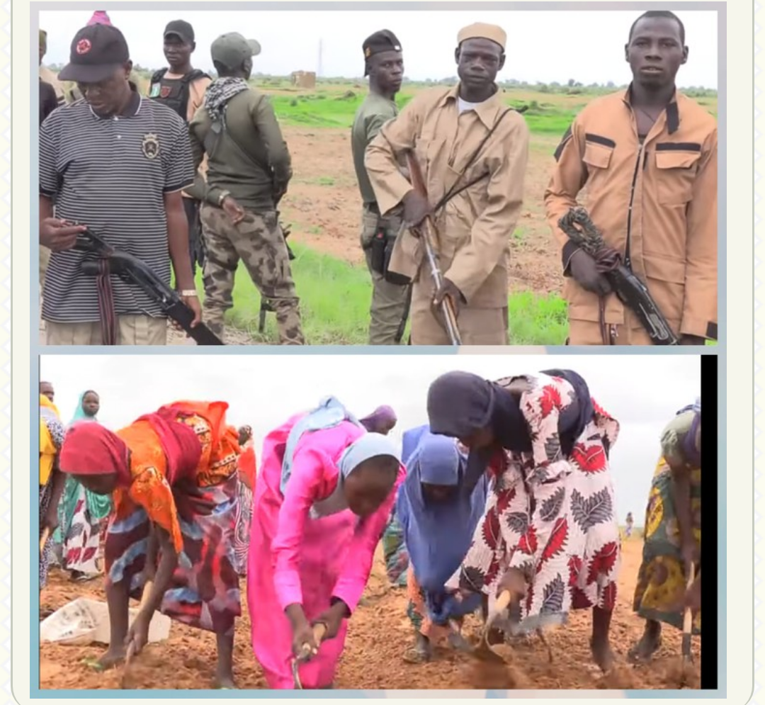 Keeping A Watchful Eye: 1000 Hunters Protect Farmers From Boko Haram In Borno State