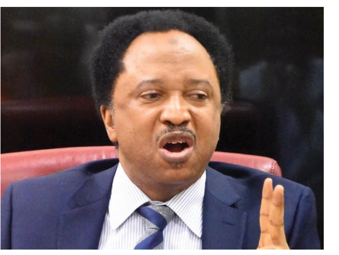 How Can A Man Be 69 And His Daughter Is 60 Years – Angry Fan Protest on  Shehu Sani’s Post on Birthday Wishes To Bola Ahmed Tinubu